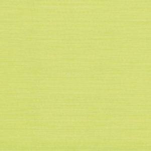 Dolce Menta 25x40