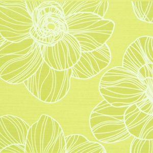 Dolce Menta Decor 25x40
