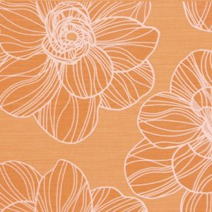 Dolce Naranja Decor 25x40