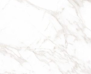 Magnifique 30x90