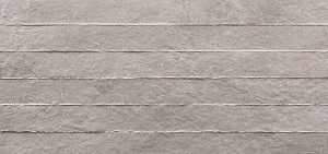 Newton Silver Rlv 30x90