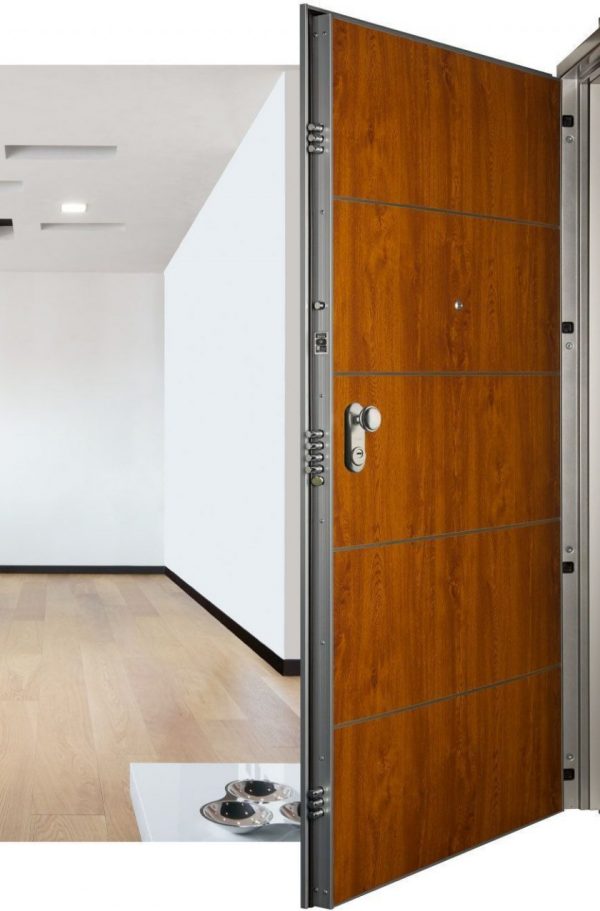 Puerta acorazada Asso 10