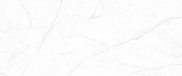 Omnia White Polished 120x300