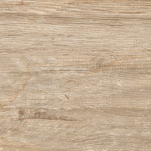Lenda Oak