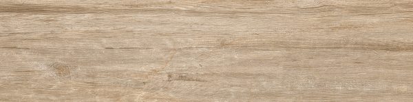 Lenda Oak