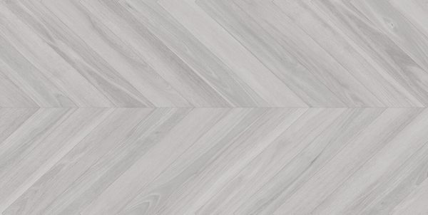 Ebony Gris 60x120