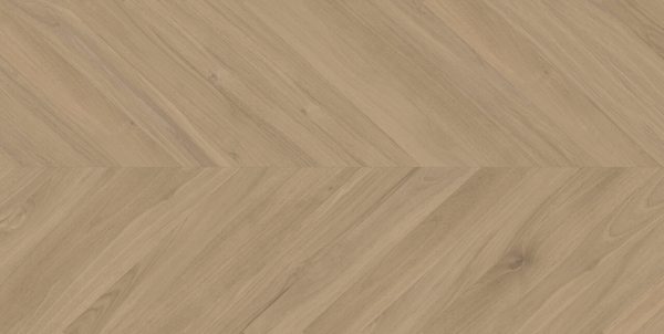 Ebony Miel 60x120