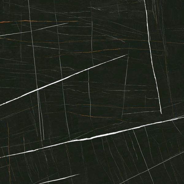 Sahara Noir