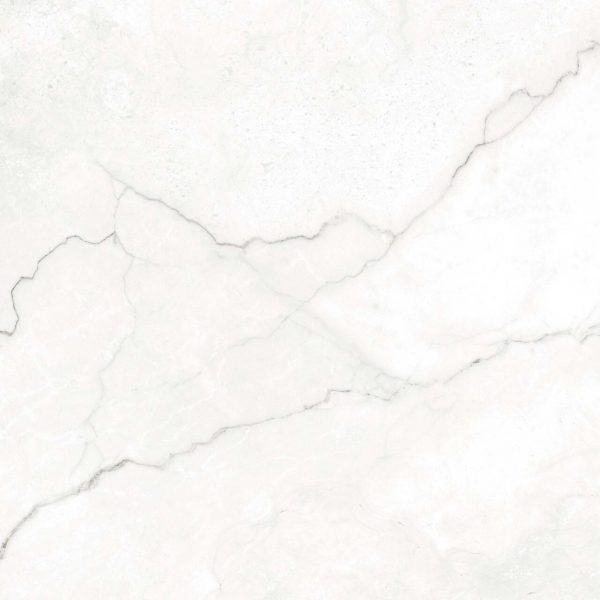 Tempus Blanco