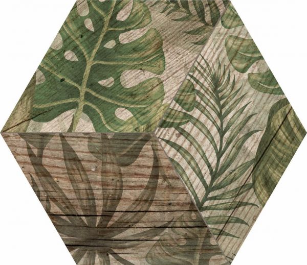 Africa 23x27