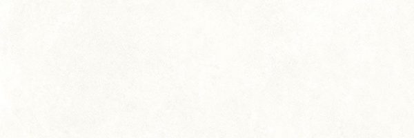Essence Blanc 29.5x90