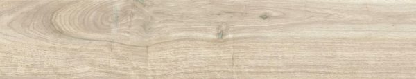 Ithaca Maple 23x120