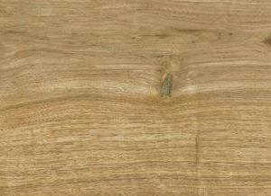 Ithaca Natural 23x120