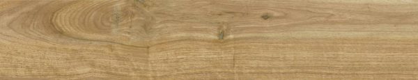 Ithaca Natural 23x120